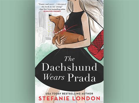 prada dackel|The Dachshund Wears Prada .